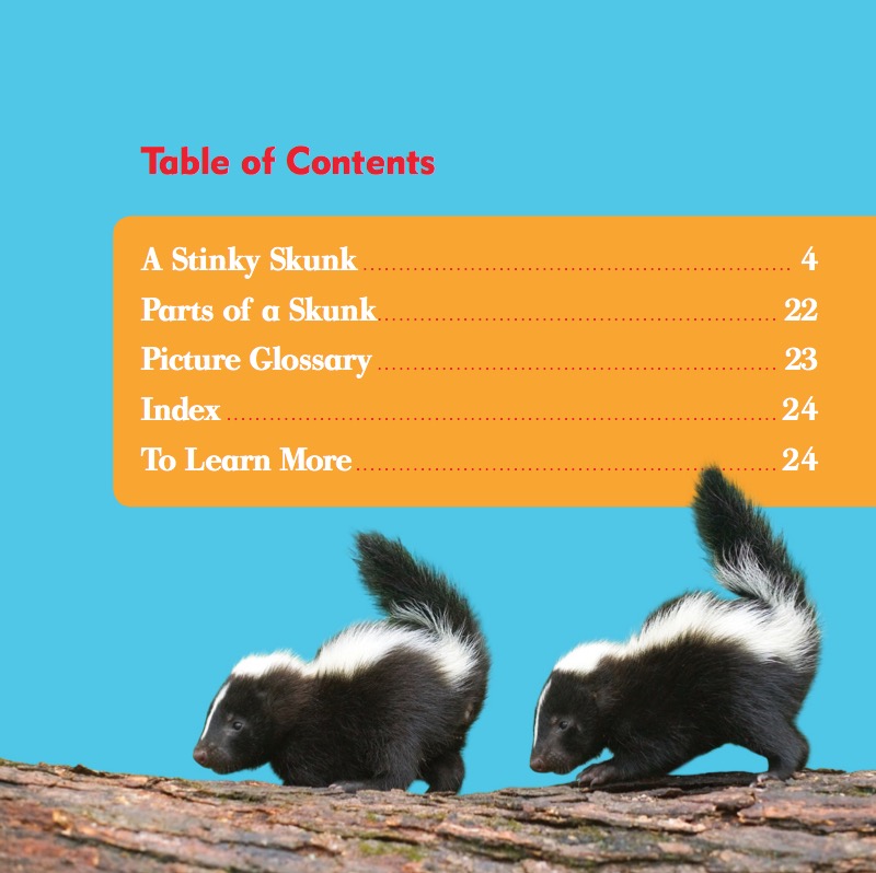 My First Animal Library: Skunks book cover