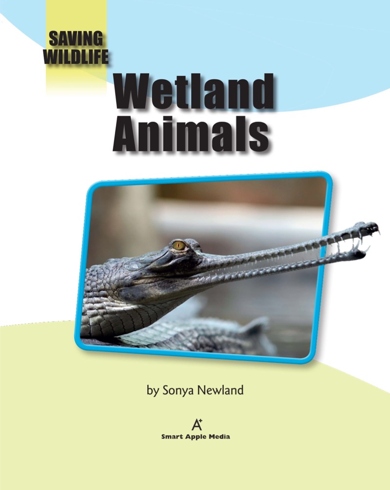 Wetland Animals book cover