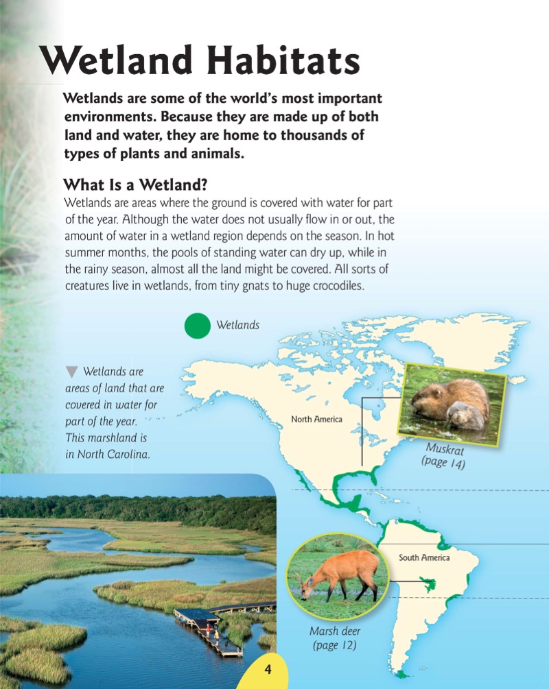 Wetland Animals — page 1