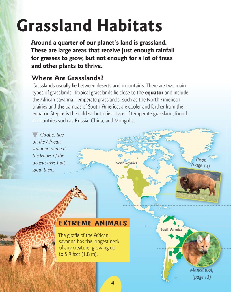 Grassland Animals — page 1