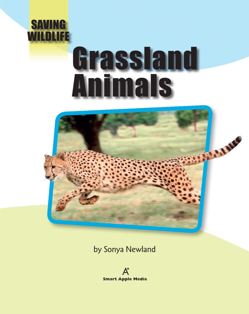 Grassland Animals book cover