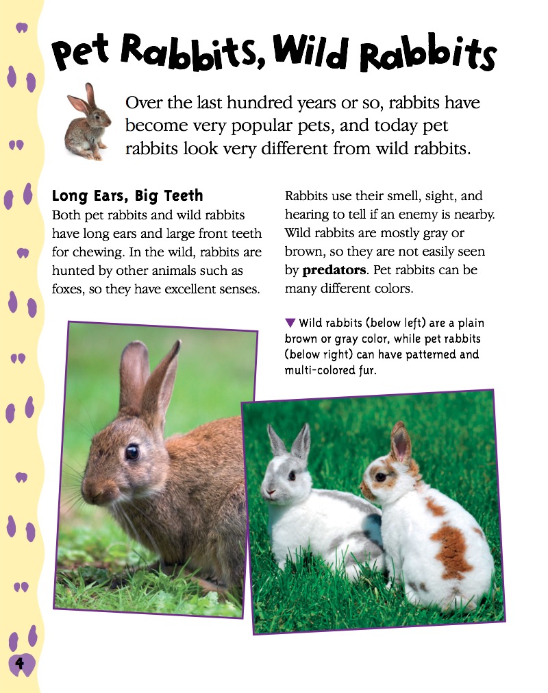 Rabbits — page 1