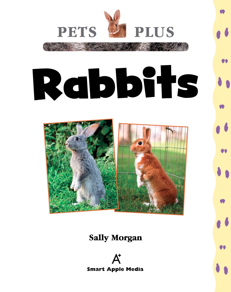 Rabbits book cover