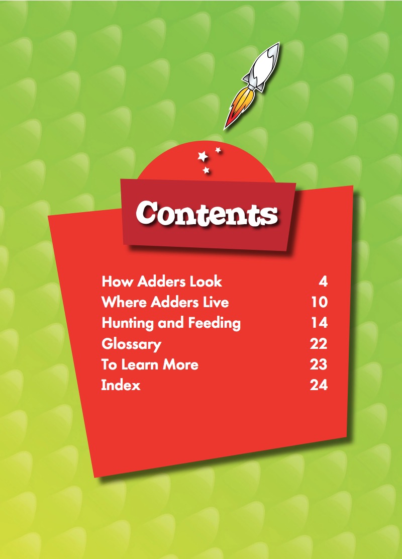 Adders book cover