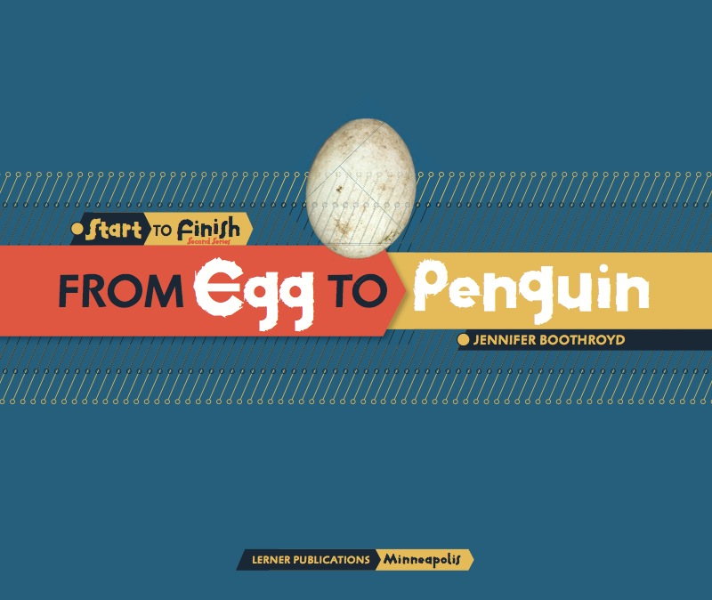 From Egg to Penguin book cover