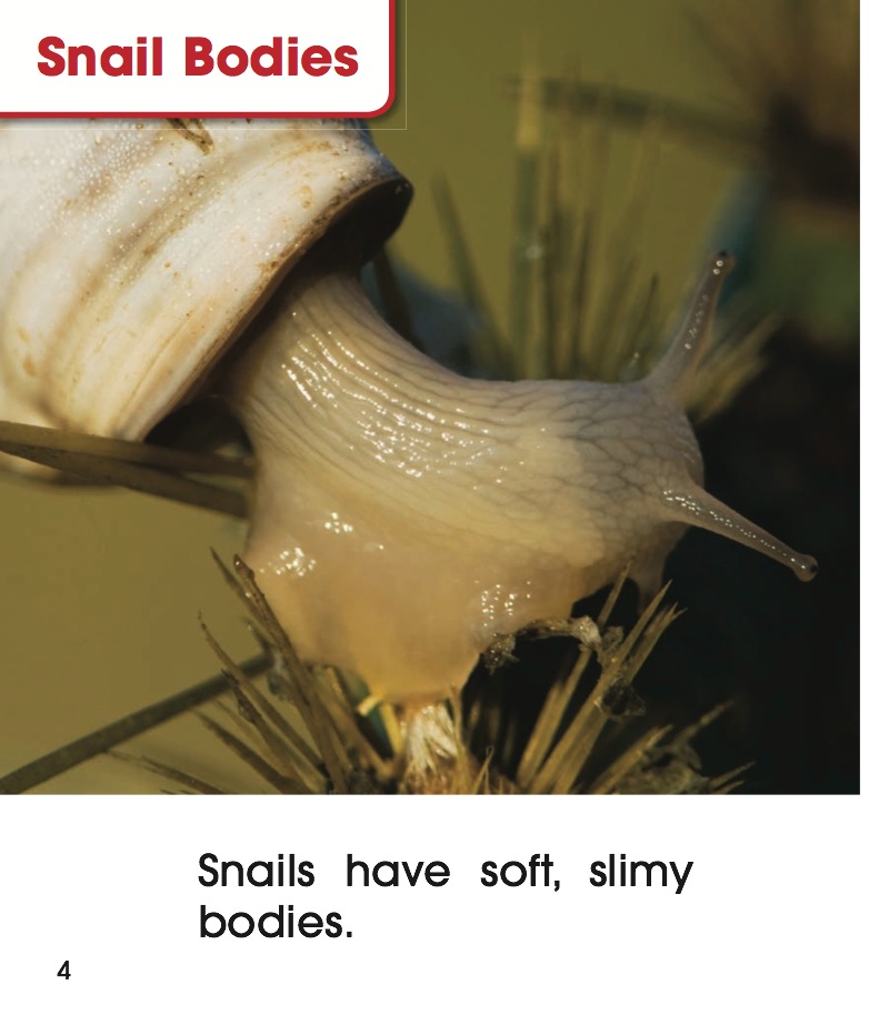 Slimy Snails — page 1