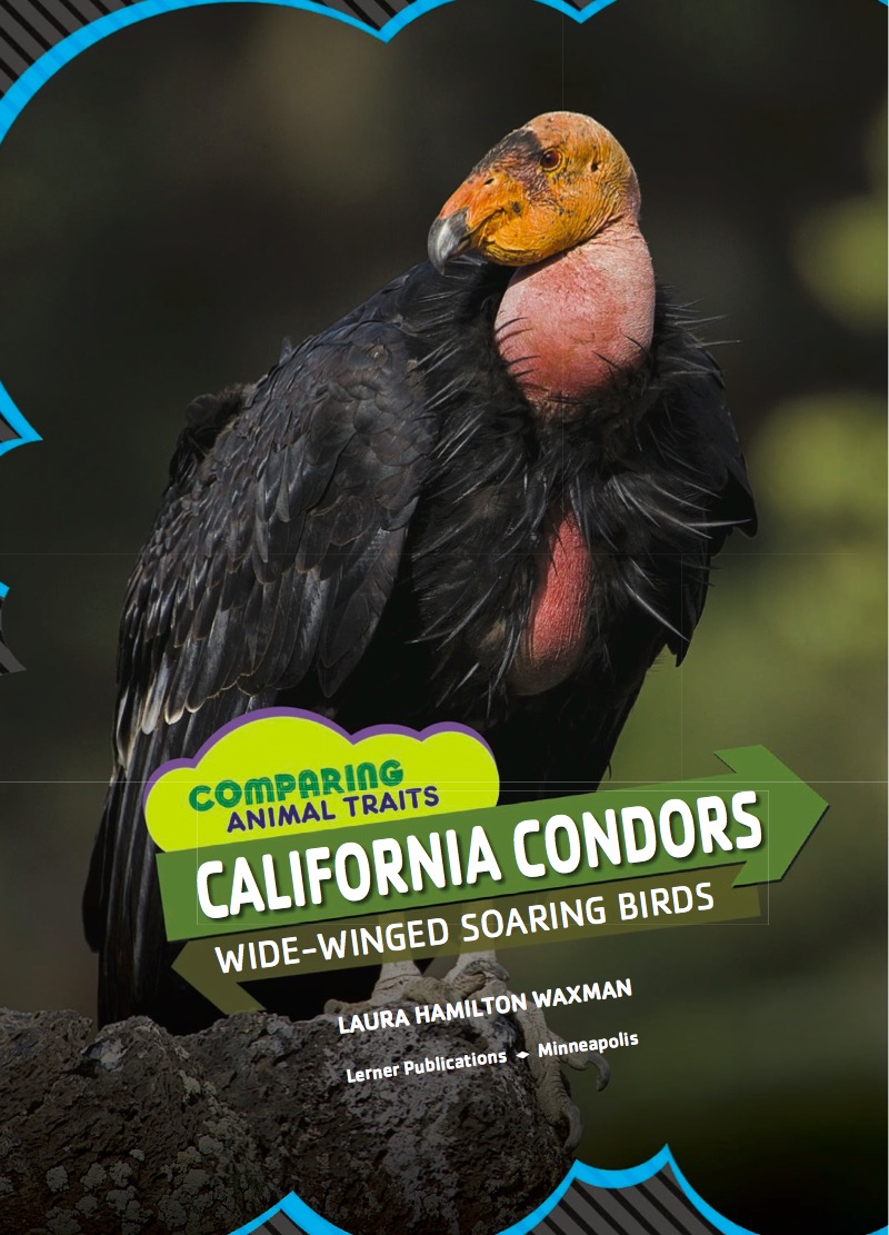 California Condors: Wide-Winged Soaring Birds book cover