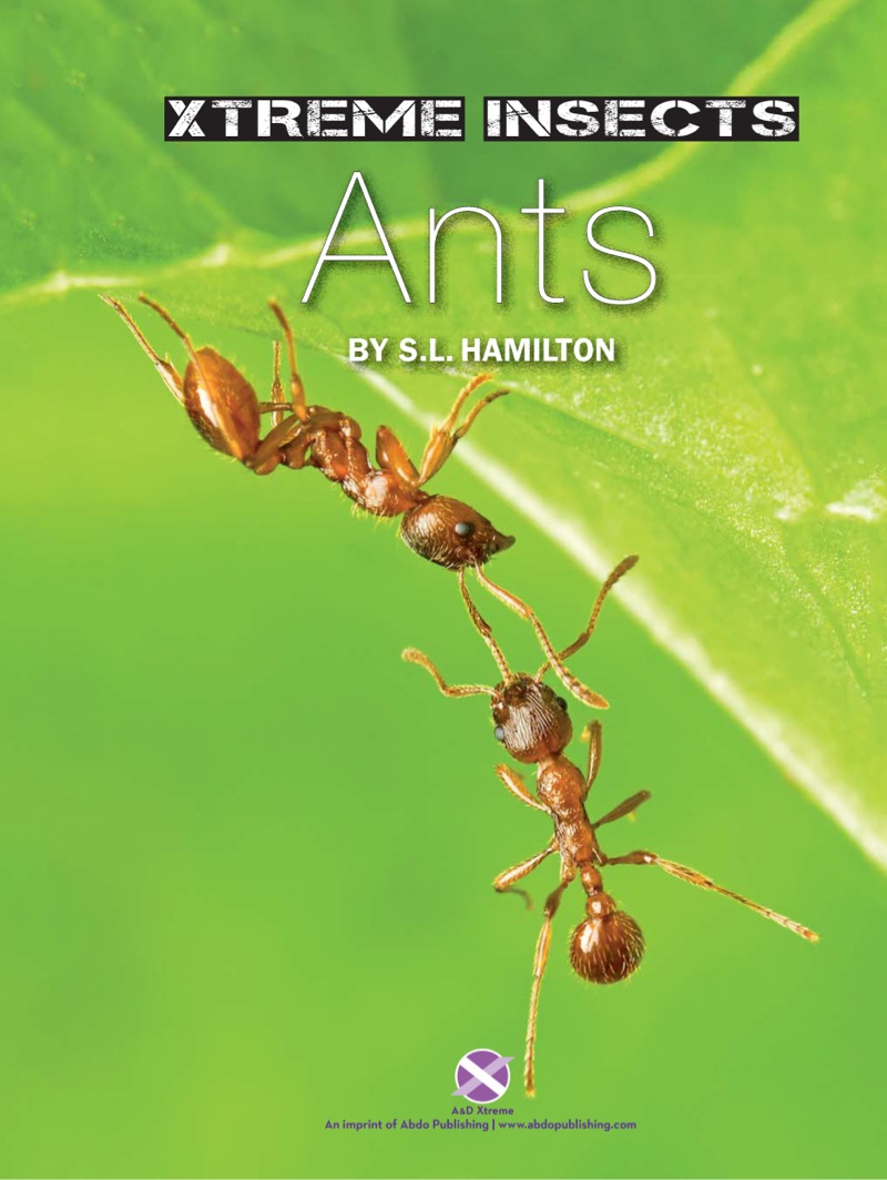 Ants book cover