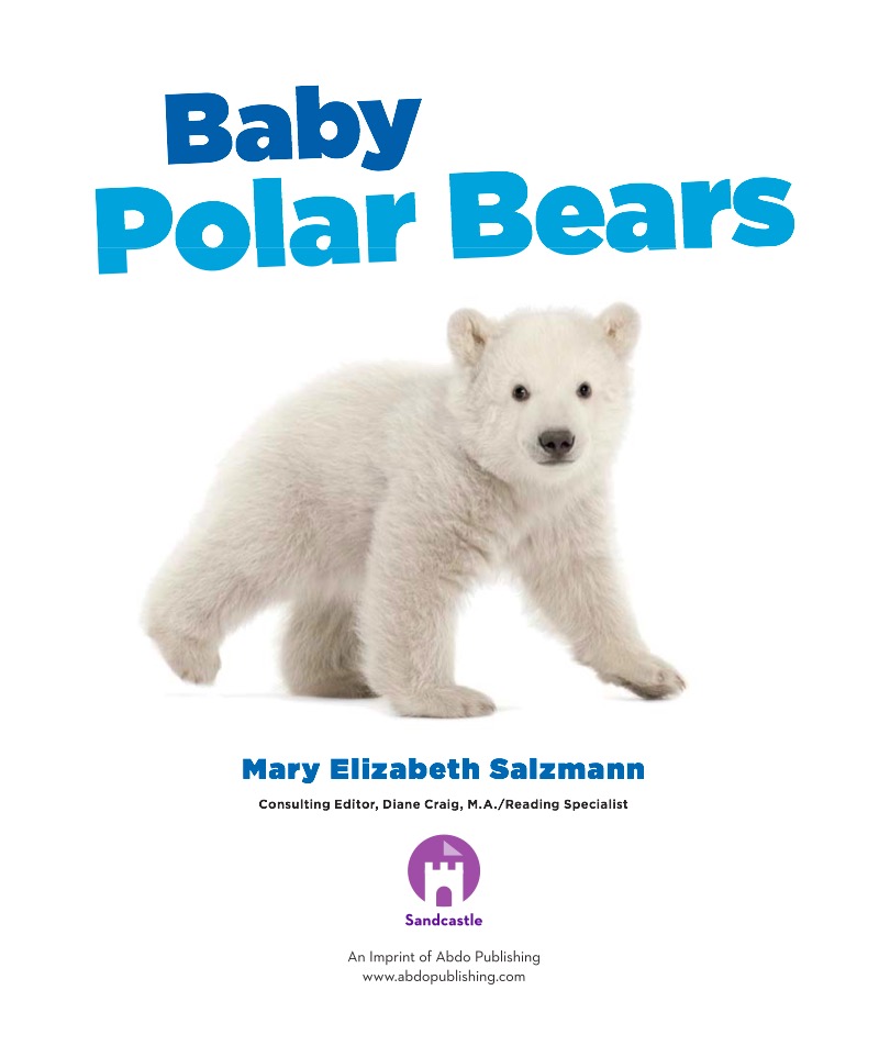 Baby Polar Bears book cover