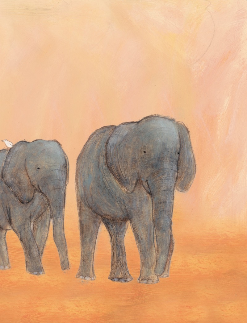 Farewell, Grandpa Elephant: What Happens When a Loved One Dies? book cover
