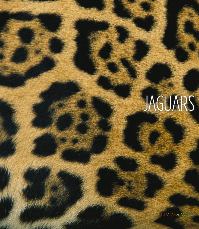 Jaguars book cover