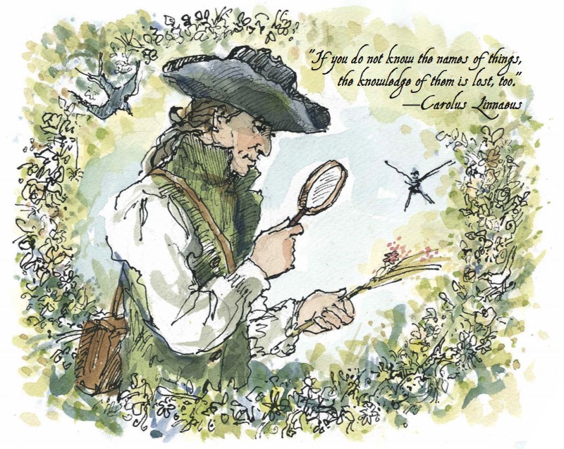 Karl, Get Out of the Garden! — page 1
