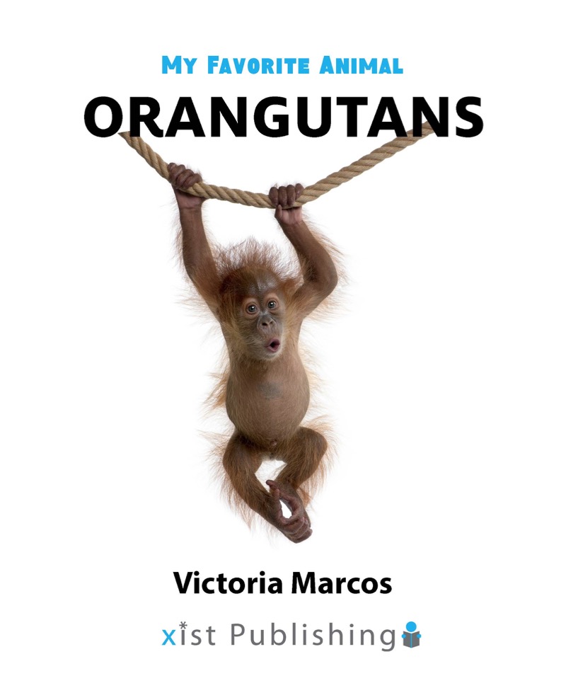 My Favorite Animal: Orangutans book cover