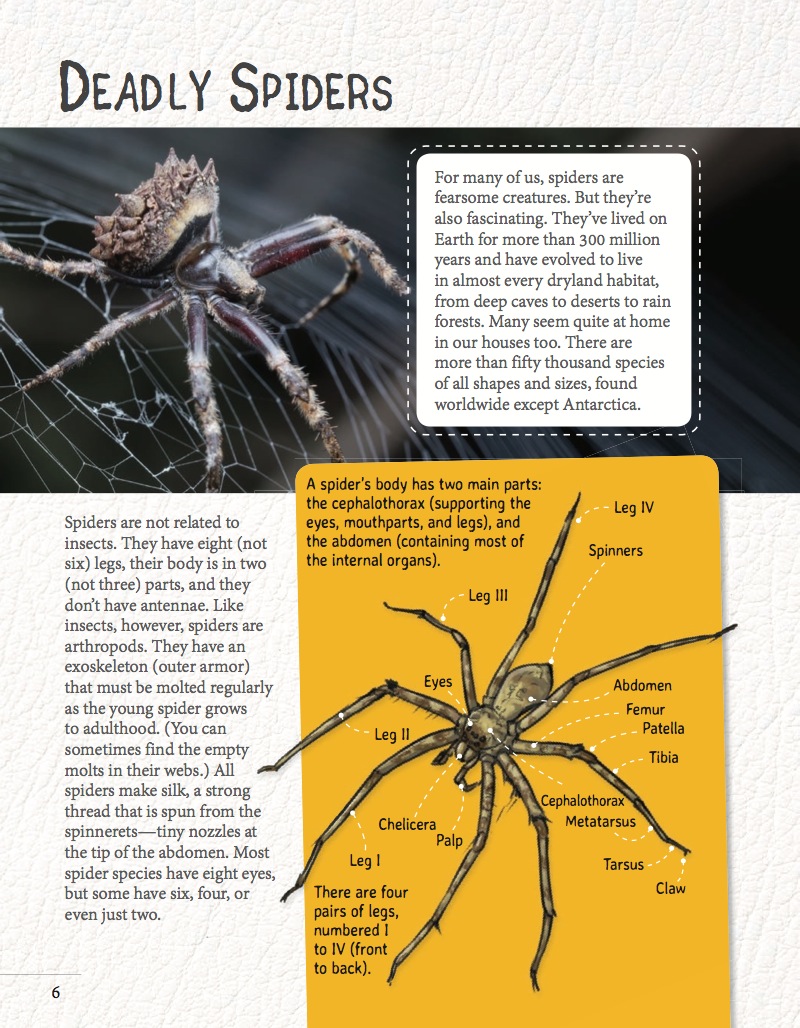 Deadly Spiders — page 1