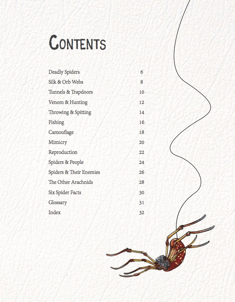 Deadly Spiders book cover
