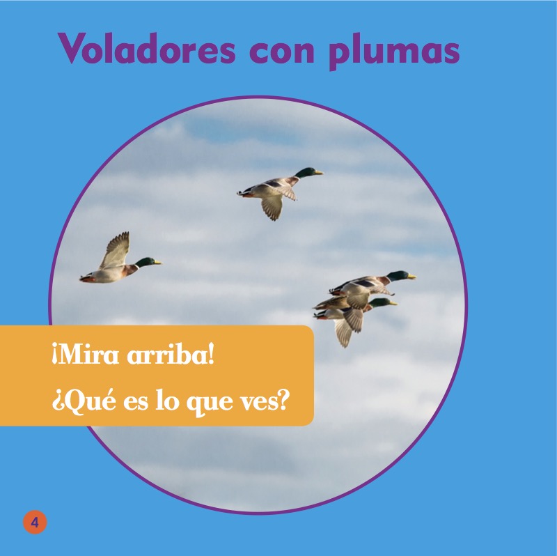 Clasificación Animal: Birds — page 1