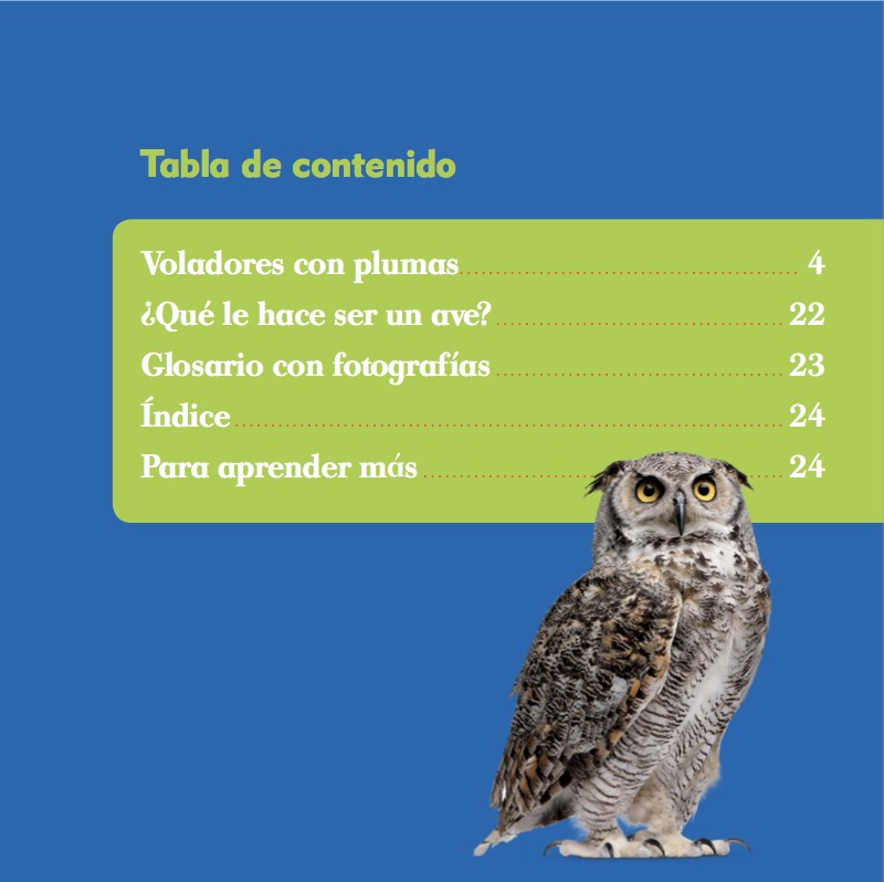 Clasificación Animal: Birds book cover