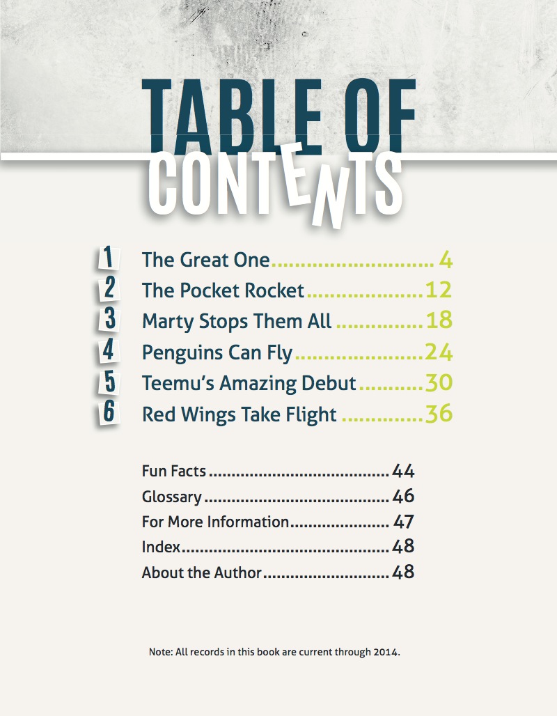 Hockey Record Breakers book cover