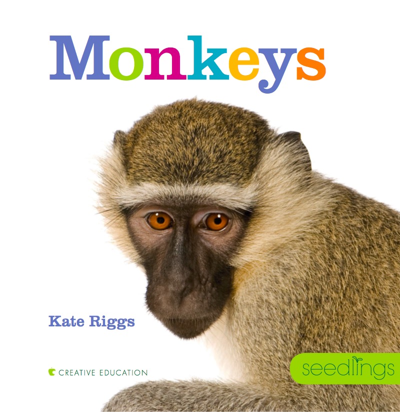 Monkeys book cover
