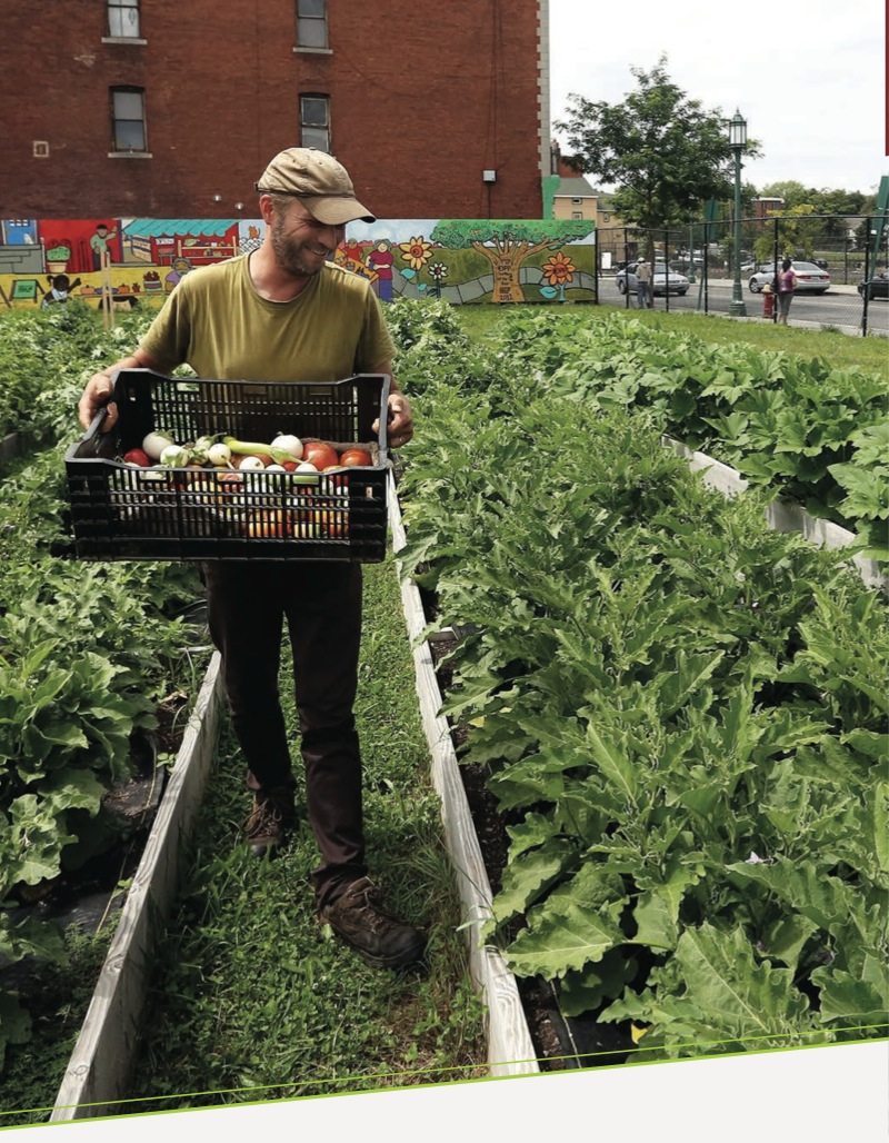 Urban Farming — page 1