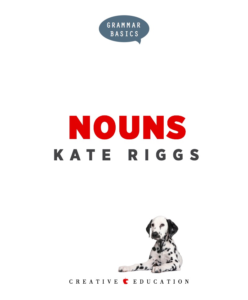 Nouns book cover