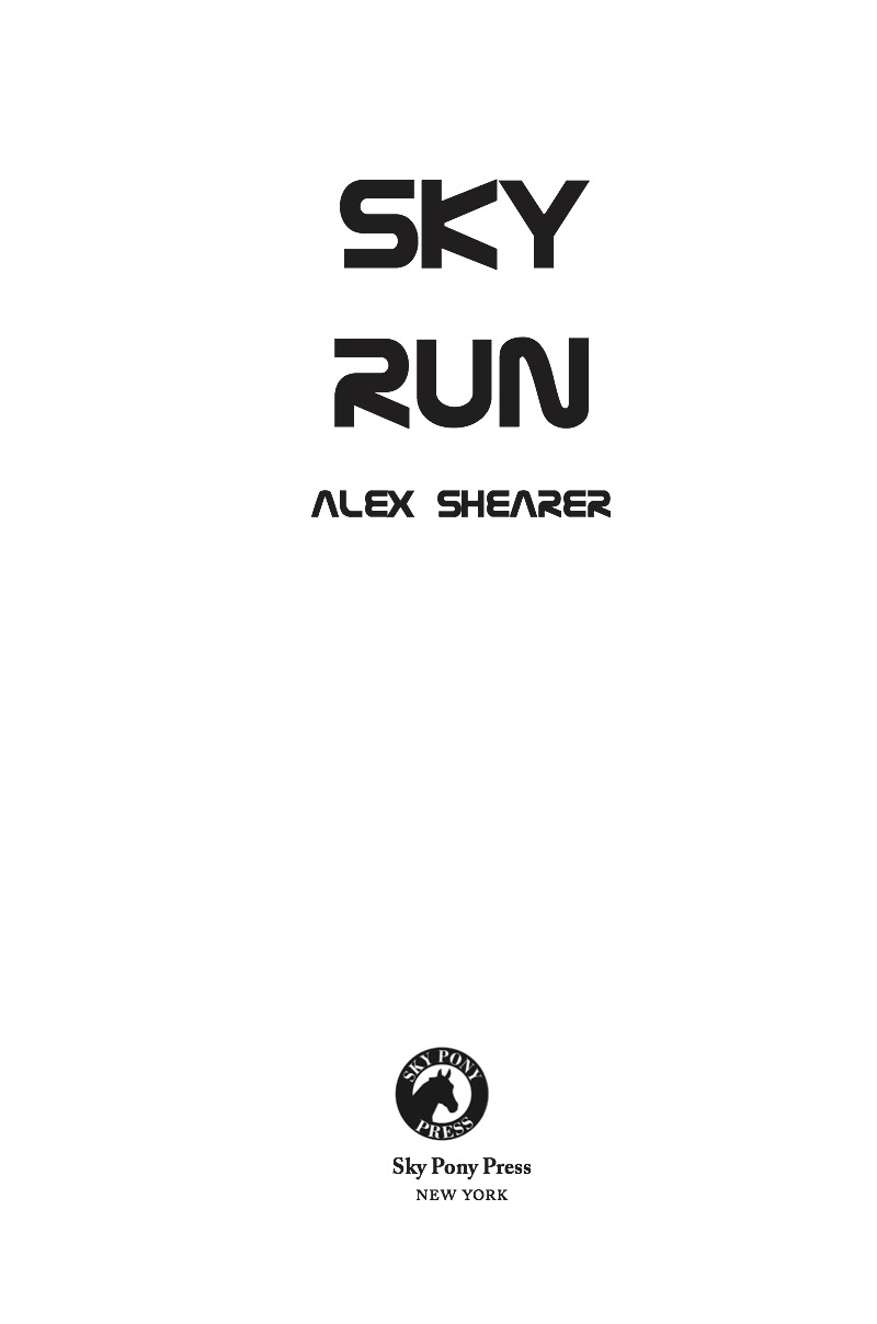 Sky Run book cover