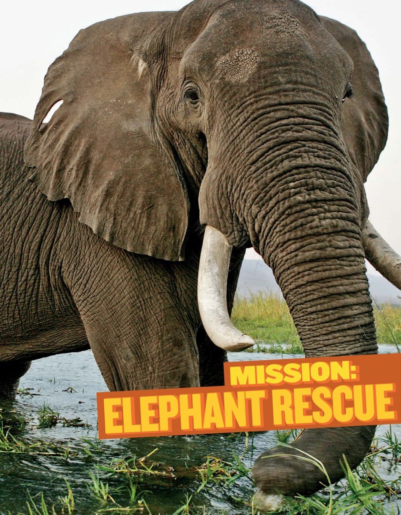 National Geographic Kids Mission: Elephant Rescue book cover