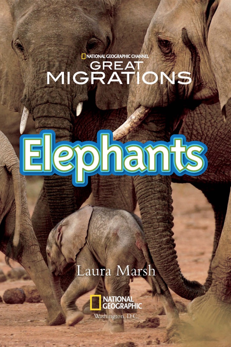 National Geographic Readers: Great Migrations Elephants book cover