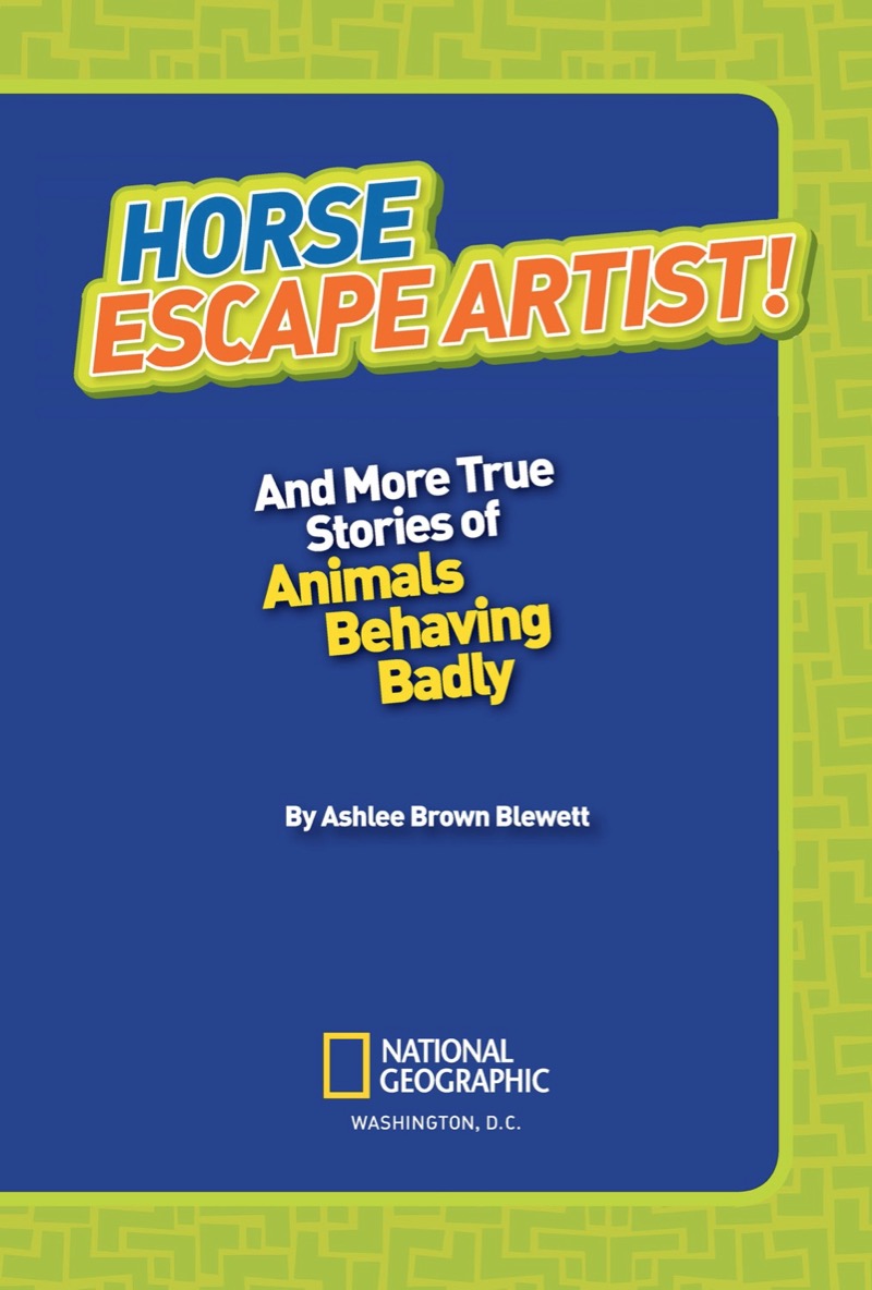 National Geographic Kids Chapters: Horse Escape Artist book cover
