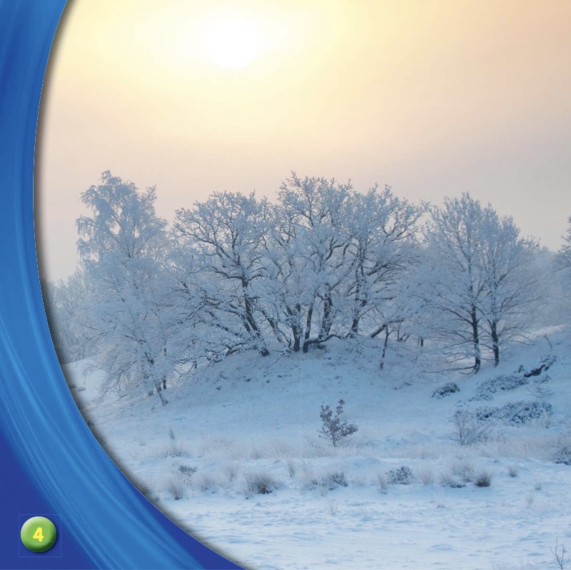 What Happens to Plants in Winter? — page 1