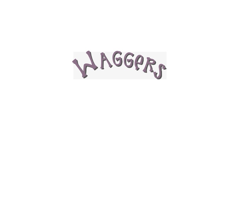 Waggers book cover