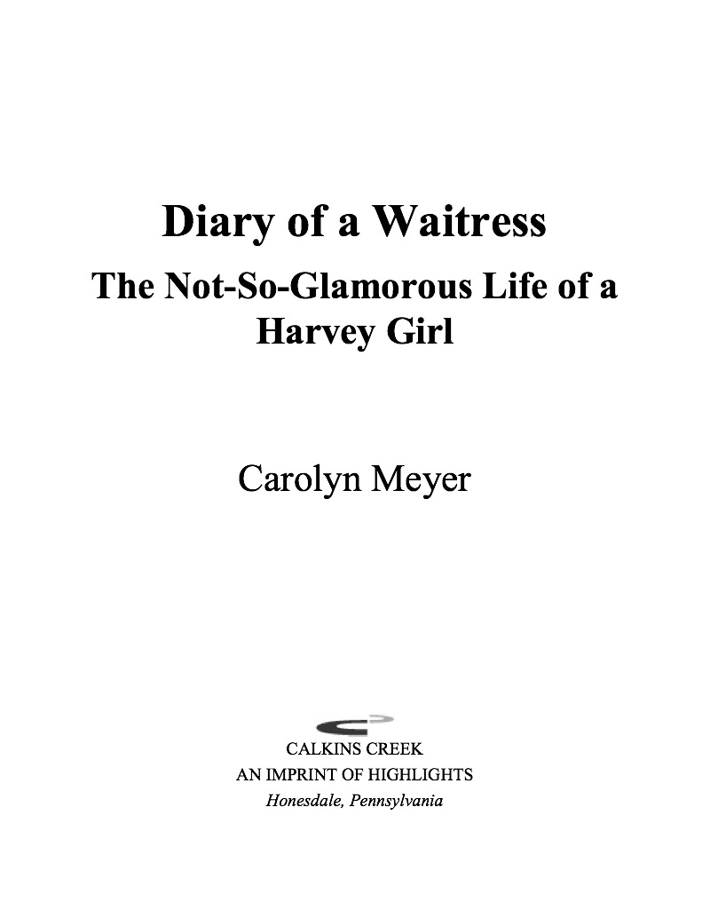 Diary of a Waitress: The Not-So-Glamorous Life of a Harvey Girl book cover