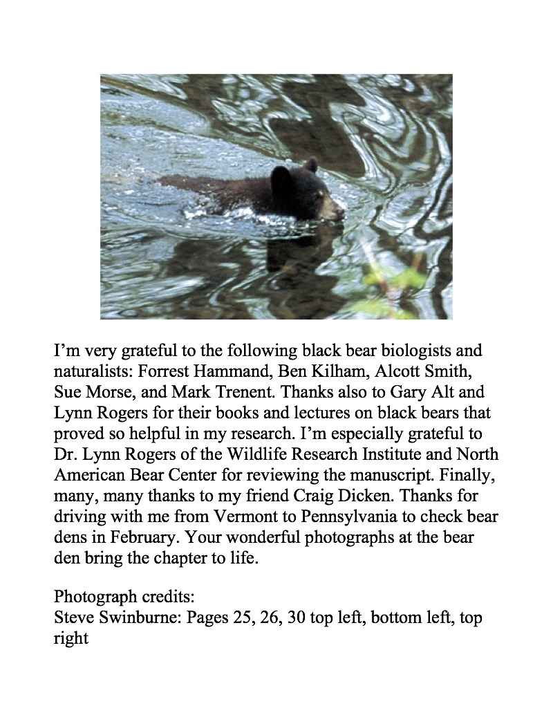 Black Bear: North America's Bear — page 1