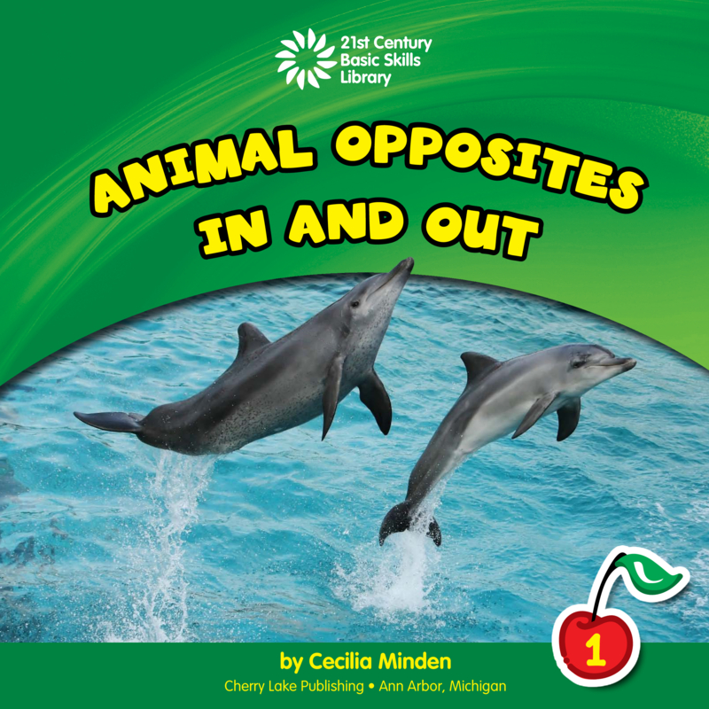 In and Out book cover