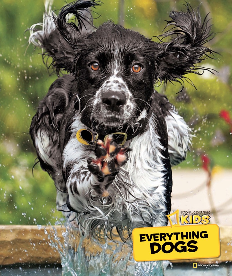 National Geographic Kids Everything Dogs book cover