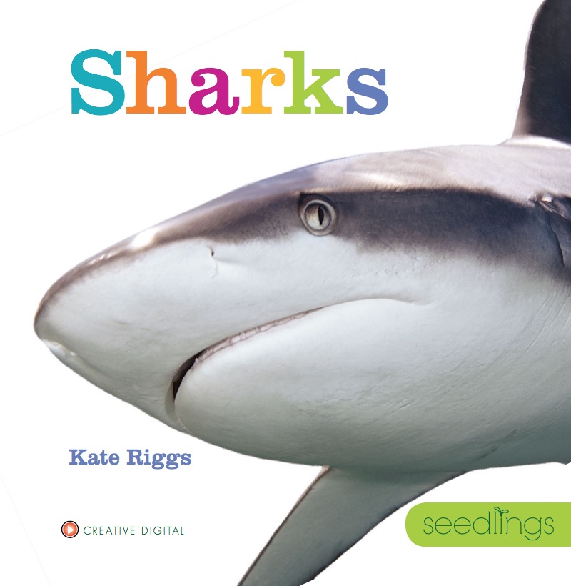 Sharks book cover