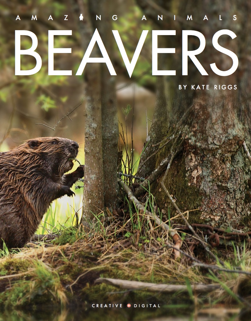 Beavers book cover