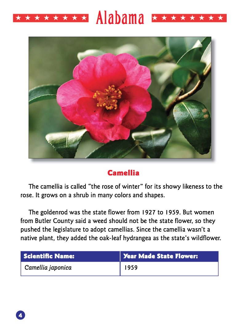 State Guides to Flowers — page 1