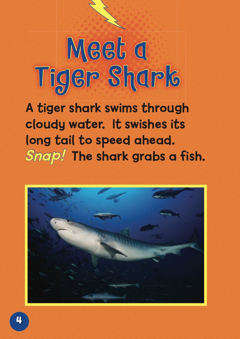 Tiger Sharks in Action — page 1