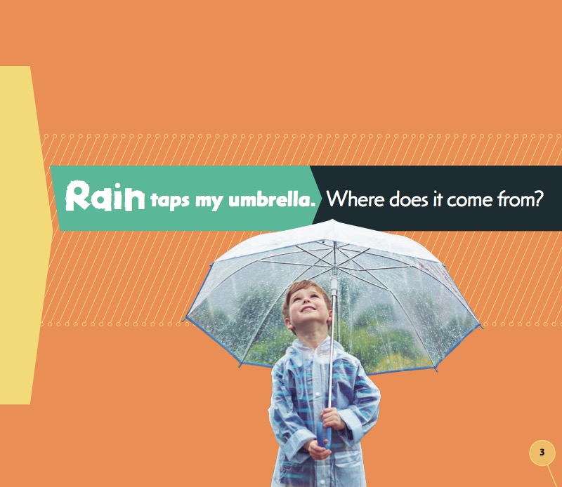 From River to Raindrop: The Water Cycle book cover