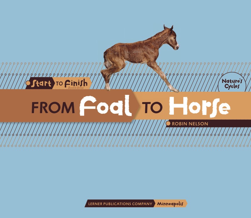 From Foal to Horse book cover