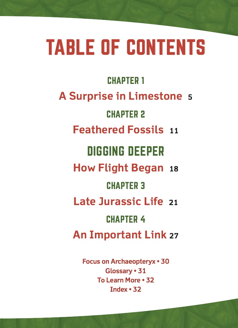 Archaeopteryx book cover