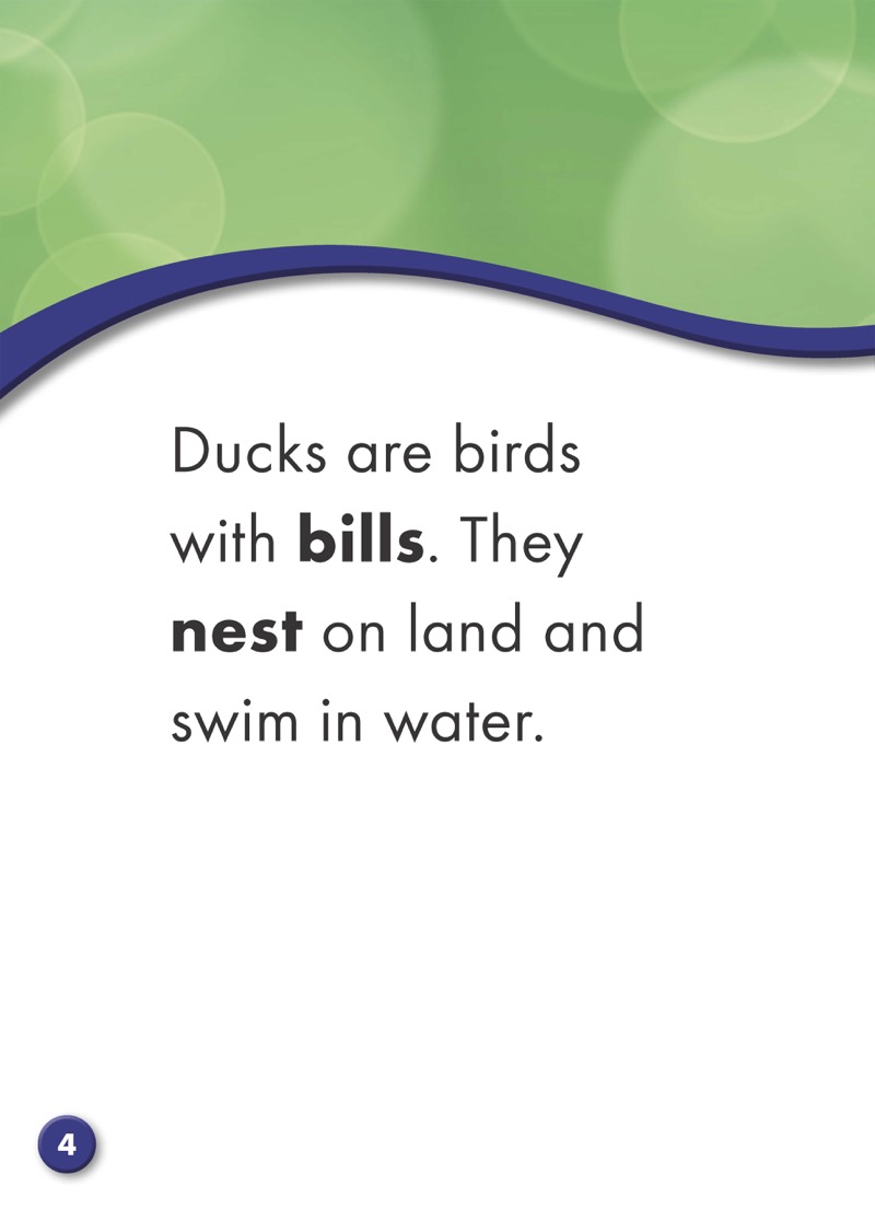 Backyard Wildlife: Ducks — page 1