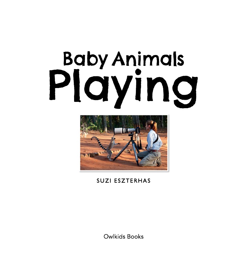Baby Animals Playing book cover