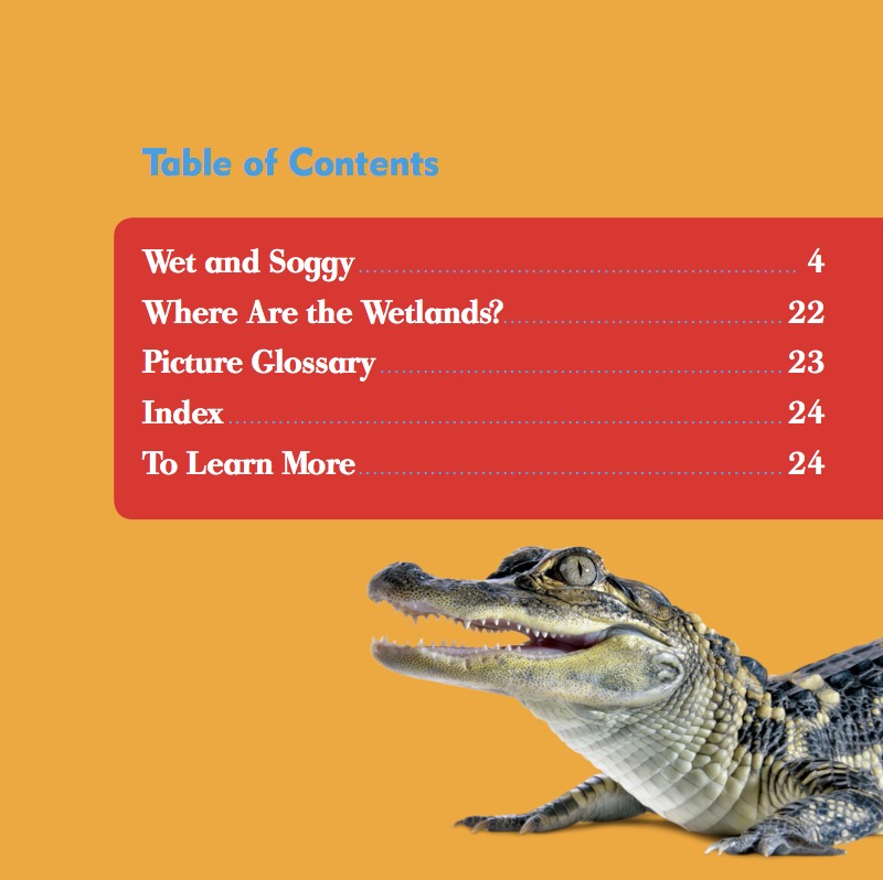Wetlands book cover