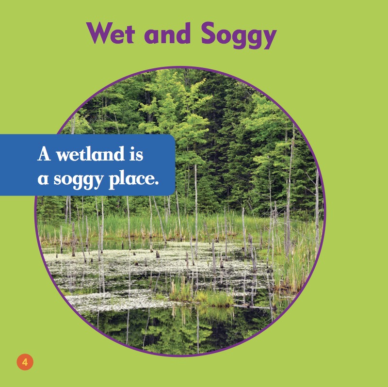 Wetlands — page 1