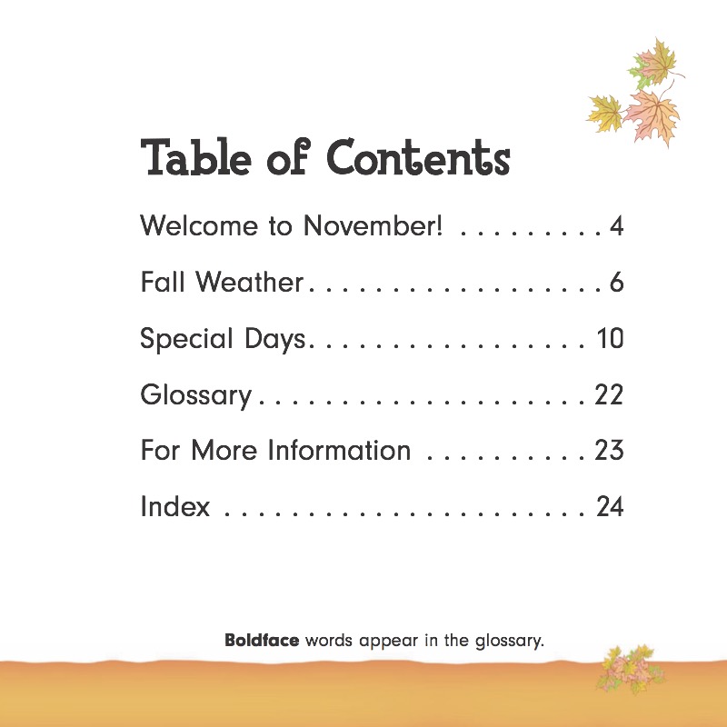 Months of the Year: November book cover