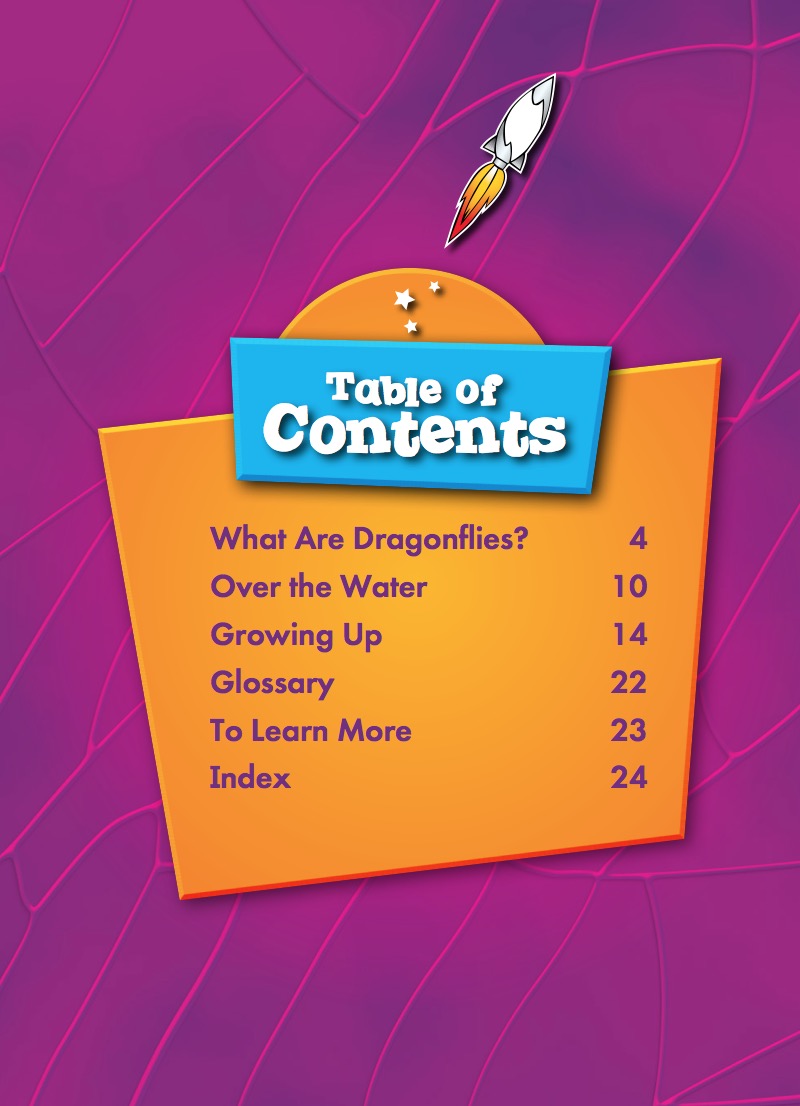 Dragonflies book cover