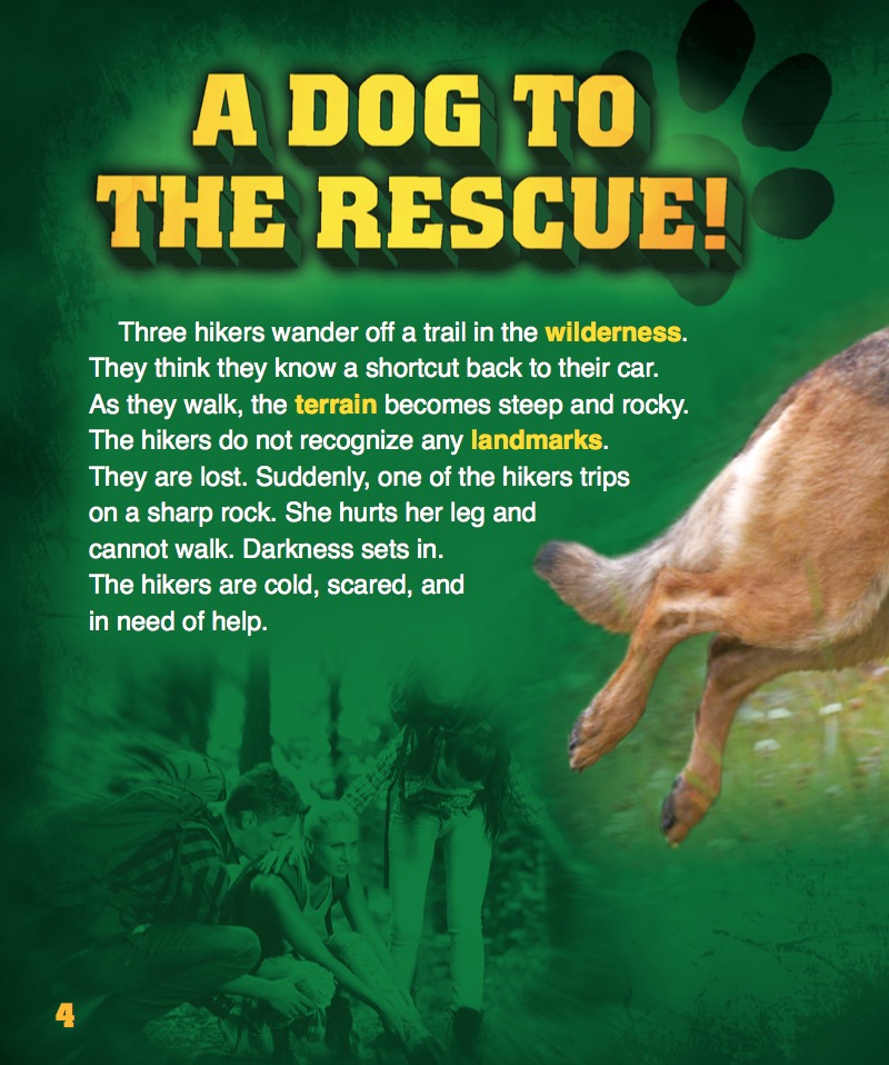 Wilderness Search Dogs — page 1