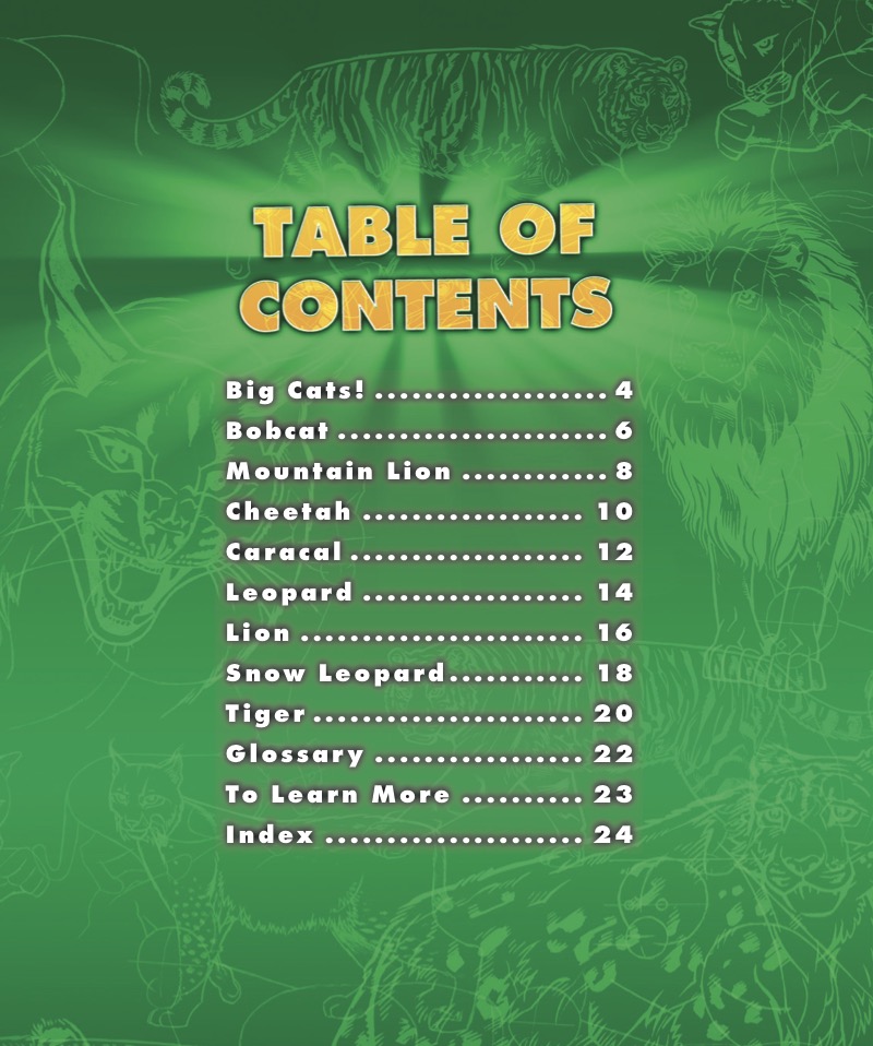 Big Cats book cover